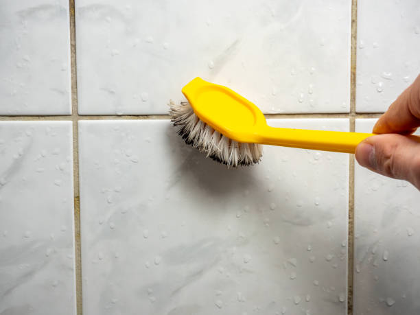 Best Affordable Mold Removal  in Camp Hill, PA
