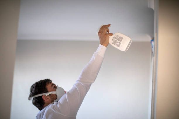 Best Black Mold Removal  in Camp Hill, PA