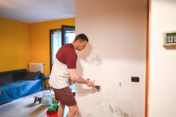 Best Toxic Mold Removal  in Camp Hill, PA